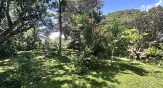 4-House Investment on 2 Hectares with Touristic Zoning — La Garita, Alajuela