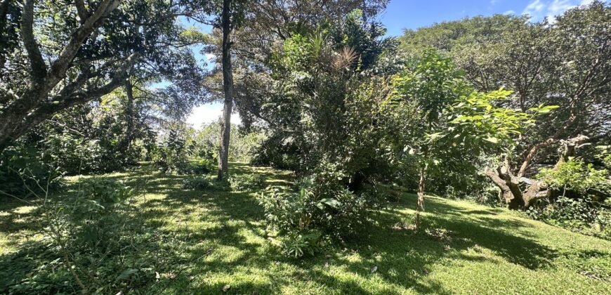 4-House Investment on 2 Hectares with Touristic Zoning — La Garita, Alajuela