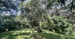 26-Hectare Estate with Road Frontage — La Garita, Alajuela | $1.2M