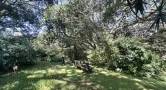 26-Hectare Estate with Road Frontage — La Garita, Alajuela | $1.2M 26-Hectare Estate with Road Frontage — La Garita, Alajuela | $1.2M