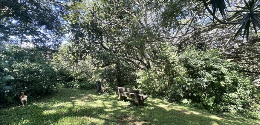 26-Hectare Estate with Road Frontage — La Garita, Alajuela | $1.2M