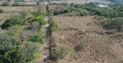 Industrial Land 62,073 m² — Coyol Free Trade Zone, Alajuela | ~$4M